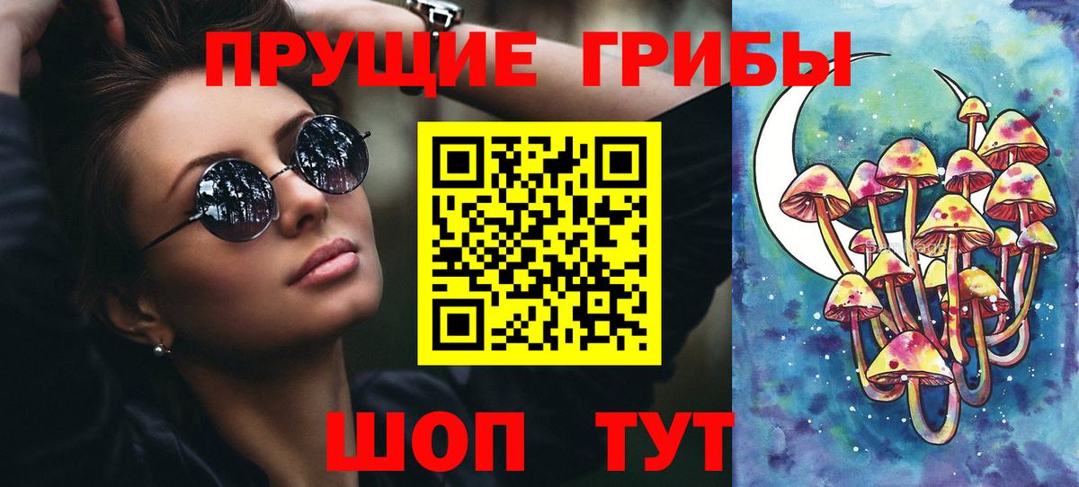 Псилоцибиновые грибы Psilocybine cubensis Заинск