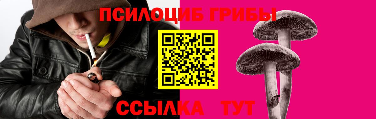 Заинск  Галлюциногенные грибы Psilocybine cubensis  Вход с VPN  Псилоцибиновые грибы мухоморы 